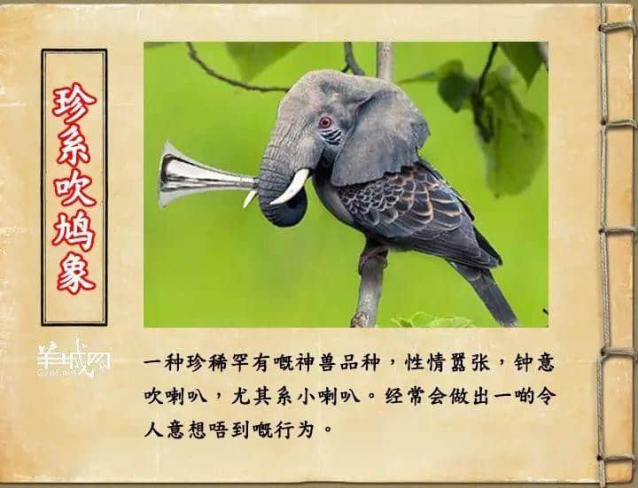 如果JK羅琳系廣州人，《神奇動(dòng)物在哪里》至少出7集！