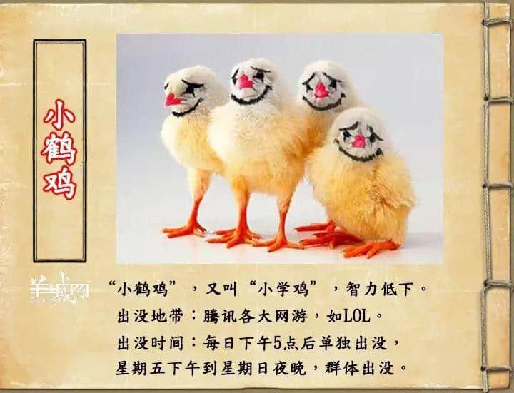 如果JK羅琳系廣州人，《神奇動(dòng)物在哪里》至少出7集！