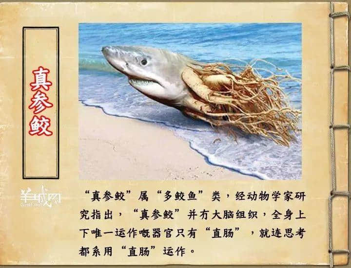 如果JK羅琳系廣州人，《神奇動(dòng)物在哪里》至少出7集！