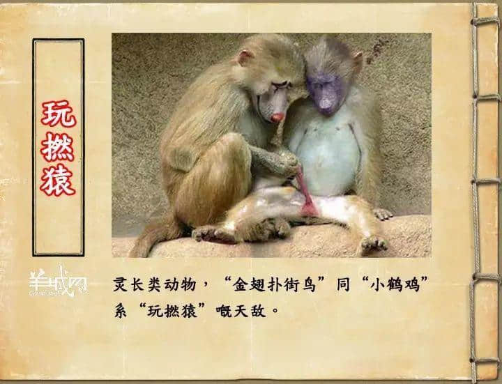 如果JK羅琳系廣州人，《神奇動(dòng)物在哪里》至少出7集！
