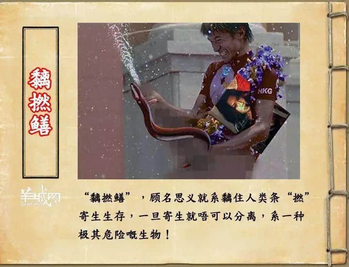 如果JK羅琳系廣州人，《神奇動(dòng)物在哪里》至少出7集！
