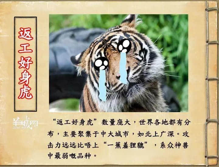 如果JK羅琳系廣州人，《神奇動(dòng)物在哪里》至少出7集！