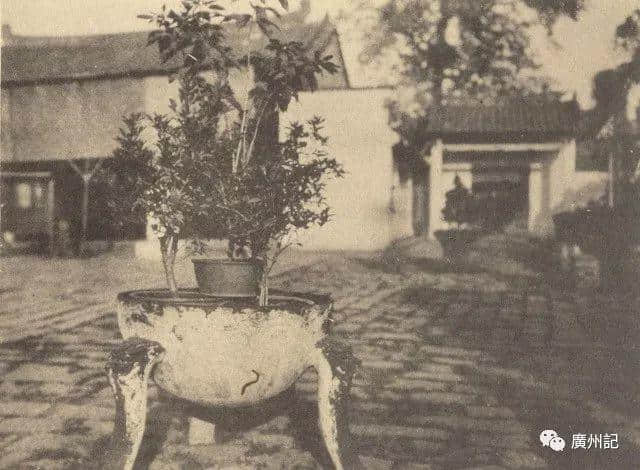 變遷的祭孔日期，消失的廣州文廟