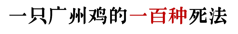 沒有一只雞能活著走出廣州 沒有一只雞能活著走出廣州