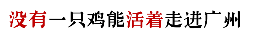 沒有一只雞能活著走出廣州 沒有一只雞能活著走出廣州