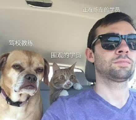 沒經(jīng)歷過廣州駕考的人，不足以談人生