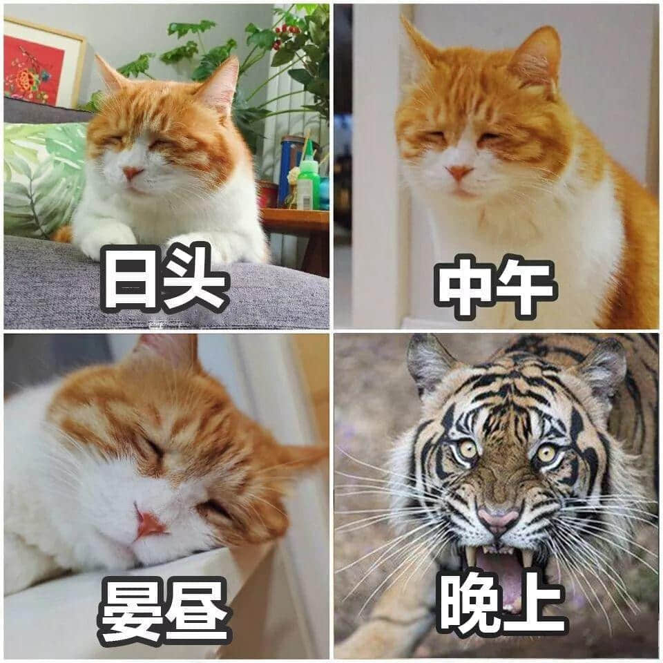 老世，無心上班唔系我嘅錯(cuò)，系清明嘅錯(cuò)！