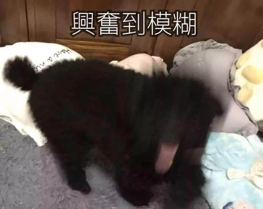 老世，無心上班唔系我嘅錯(cuò)，系清明嘅錯(cuò)！