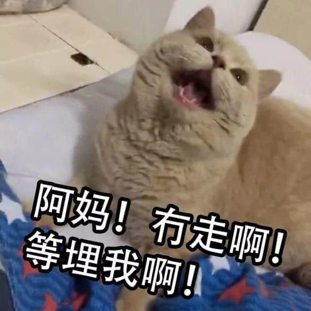 廣東講鬼故邊個(gè)最勁？連羅蘭姐都輸畀佢哋！