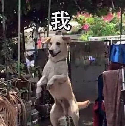 進(jìn)擊的廢青：只要做個廢物，就冇人可以利用我