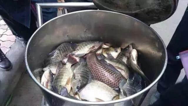 廣州高校這些梗，對上就是自己人