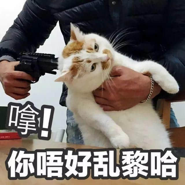 99%的廣州阿媽都說過這些話，你聽過哪幾句？