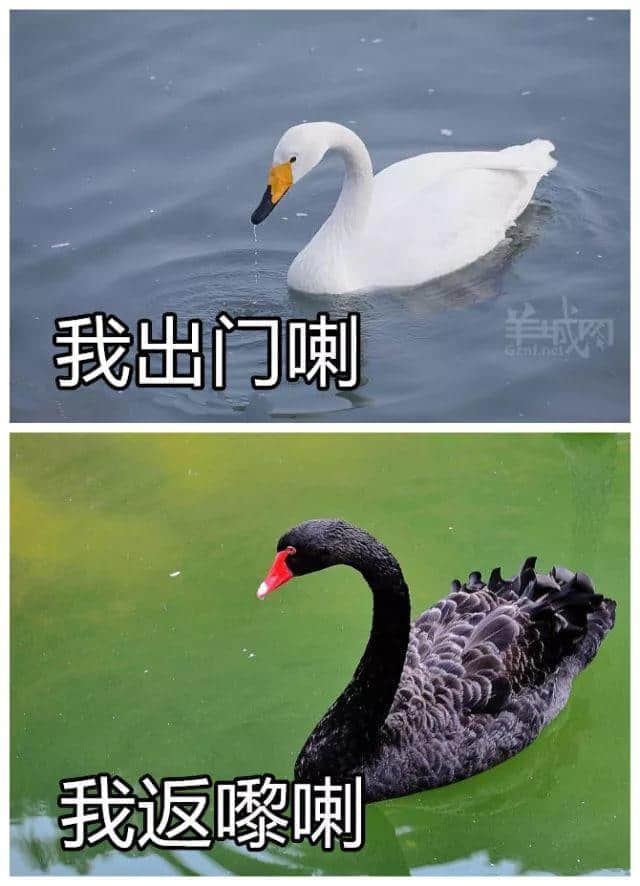 喺廣州，打敗我嘅唔系人潮大軍，而系熱到抽筋