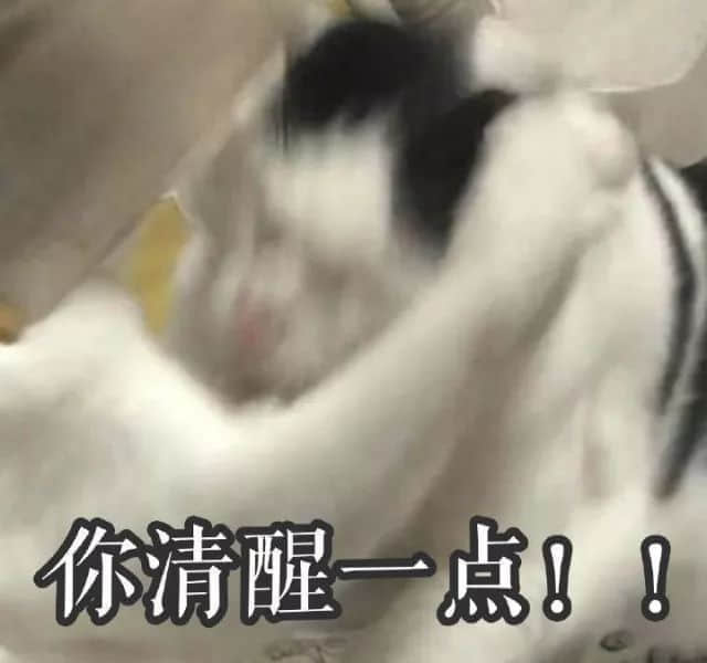 識用表情包，方為真咸魚