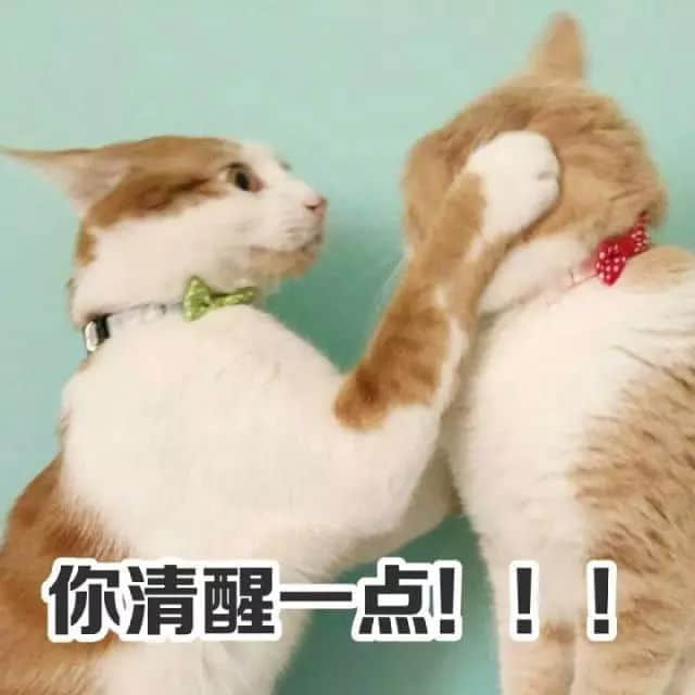 識用表情包，方為真咸魚
