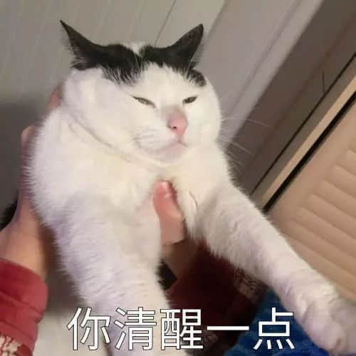 識用表情包，方為真咸魚