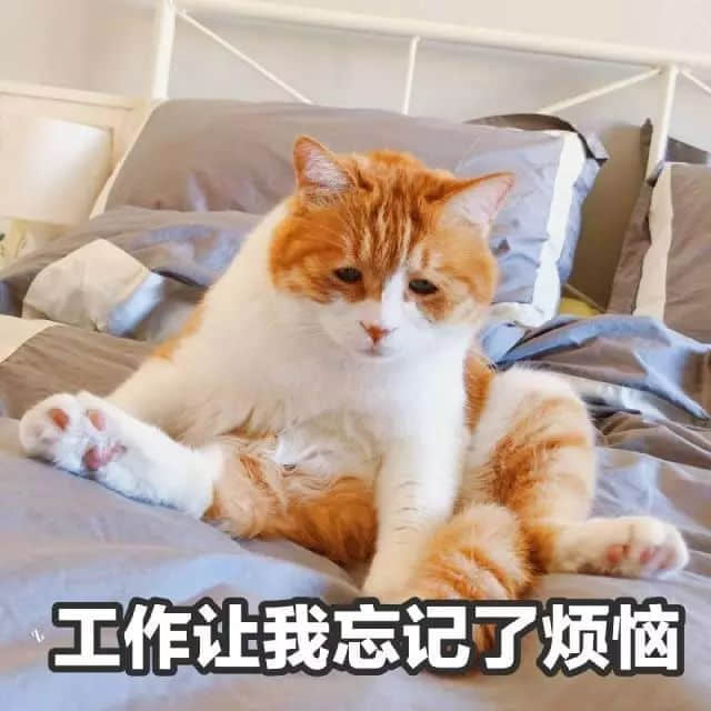識用表情包，方為真咸魚