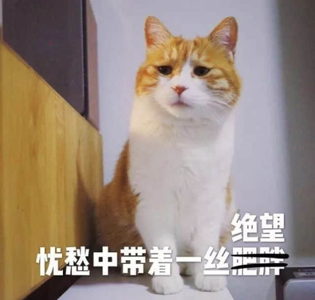 沒(méi)經(jīng)歷過(guò)高溫停電，都不好意思說(shuō)自己是廣州人