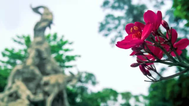廣州西郊泳場(chǎng)設(shè)“女性泳道”惹爭(zhēng)議，系女性權(quán)益or形式主義？