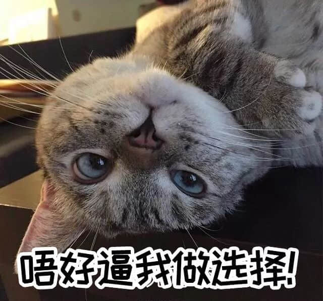 2018年高考廣州卷試題曝光，連土生廣州人都做到崩潰！