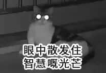2018年高考廣州卷試題曝光，連土生廣州人都做到崩潰！