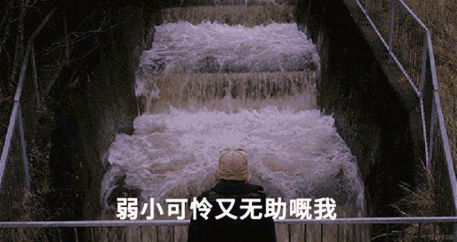 廣州人：窮我都未驚過，我會(huì)驚臺(tái)風(fēng)+暴雨？