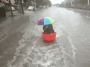廣州人：窮我都未驚過，我會(huì)驚臺(tái)風(fēng)+暴雨？