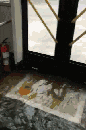 廣州人：窮我都未驚過，我會(huì)驚臺(tái)風(fēng)+暴雨？