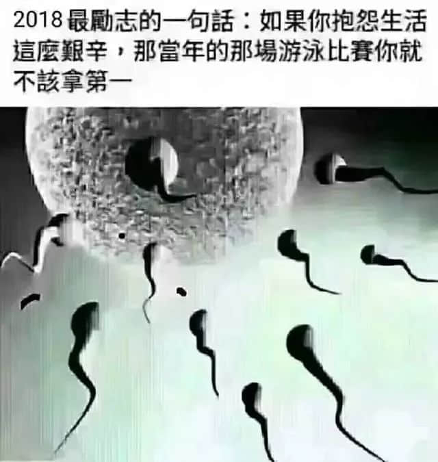 廣州人：窮我都未驚過，我會(huì)驚臺(tái)風(fēng)+暴雨？