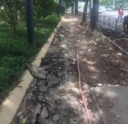 落湯雞一樣嘅廣州人，仲比唔上一條魚(yú)