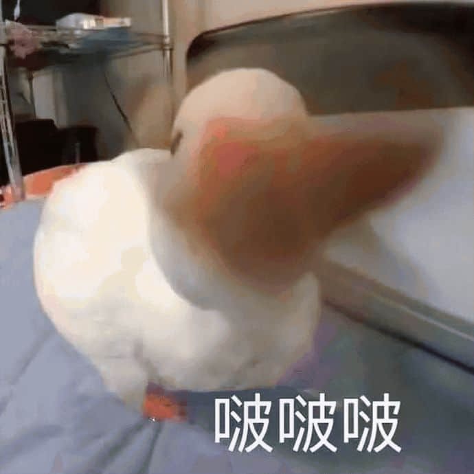 因?yàn)橐恢霍眨冶焕鲜莱呆滛~(yú)