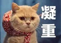 如果有一天，廣州的下一代不會(huì)講廣州話(huà)