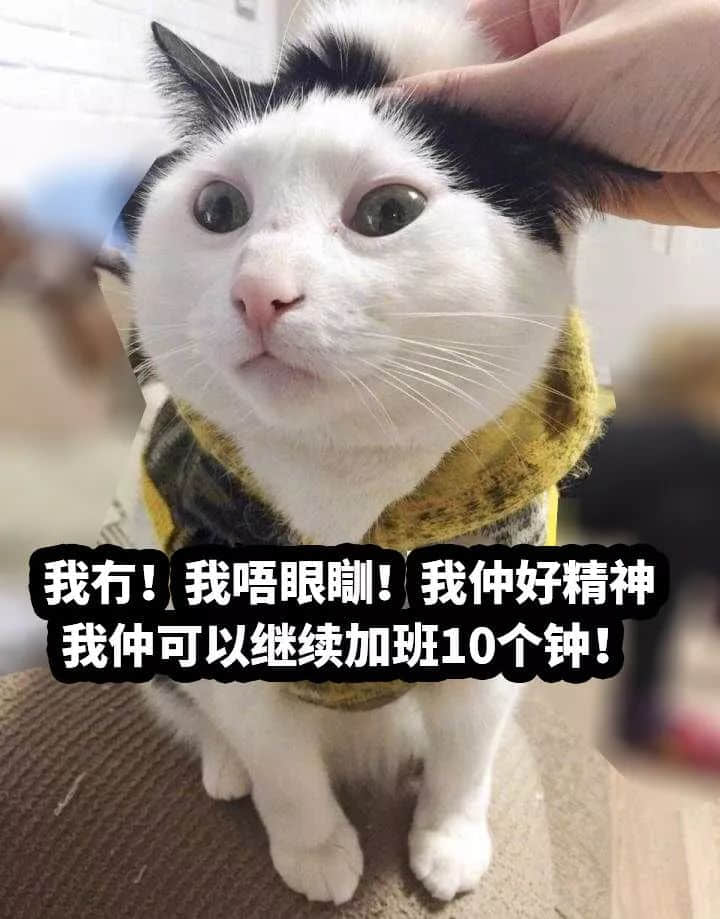 世紀(jì)大難題：點(diǎn)解日日瞓咁少仲咁窮？