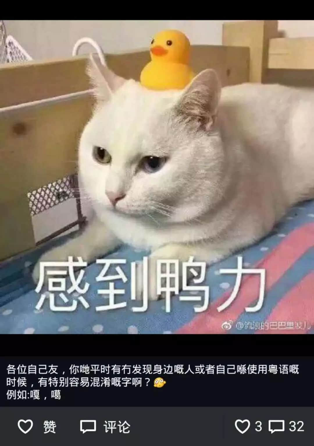 我成日講粵語(yǔ)，更想寫啱粵語(yǔ)！