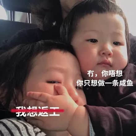 《廣東人的吹水之道》，隨口噏就已經(jīng)系秘笈！