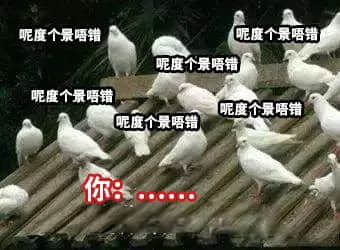 坐實了，我是萬年一遇的天煞孤星