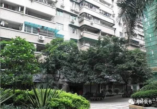 粵嶺講故事||中山七路有怪石 粵嶺講故事||中山七路有怪石