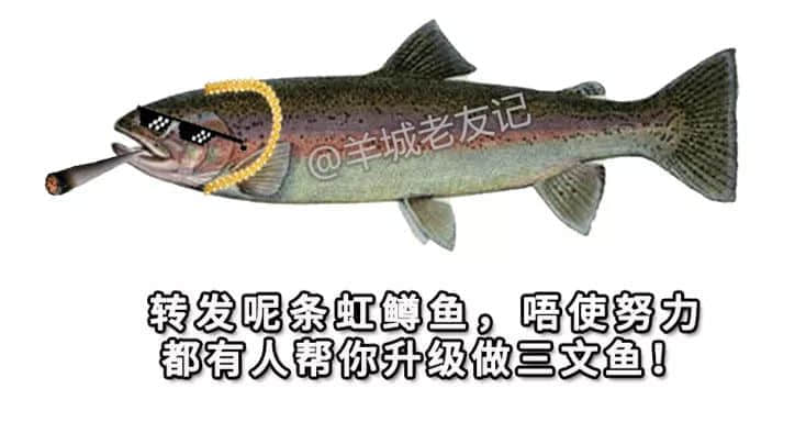 轉發(fā)這條虹鱒魚，不用努力就能變成三文魚！