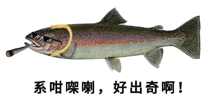 2018年當代廣東人生育測試卷，你今日生咗未？