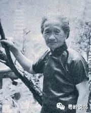 遇到她，黃飛鴻甘愿被打