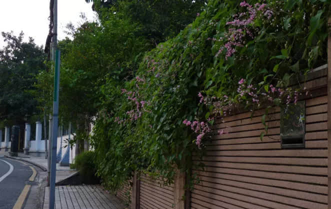 被天河奪去C位后，走到中年的環(huán)市東還剩下什么？