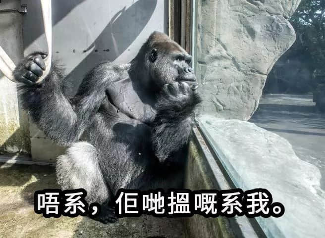 我用咗一分鐘，令自己做咗香港小姐冠軍！