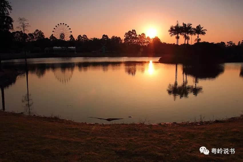 漫步南沙，所到之處都是風(fēng)景