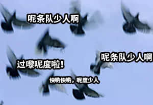 坐實了，我是萬年一遇的天煞孤星