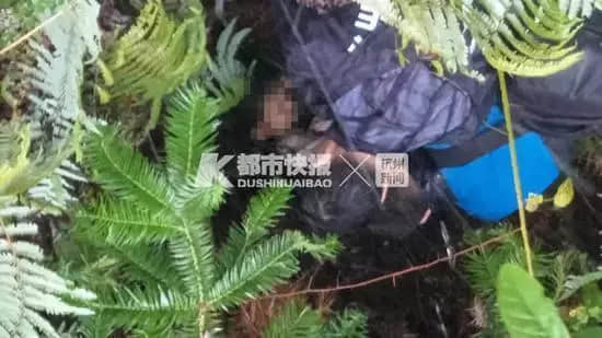 又一20歲女生打滴滴遇害，這次的幫兇是？