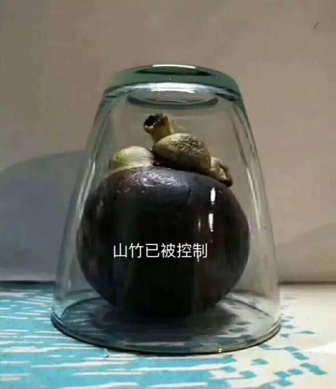 一個(gè)臺(tái)風(fēng)山竹，令我看清廣東人的真面目！