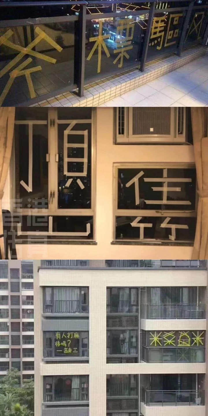 一個(gè)臺(tái)風(fēng)山竹，令我看清廣東人的真面目！