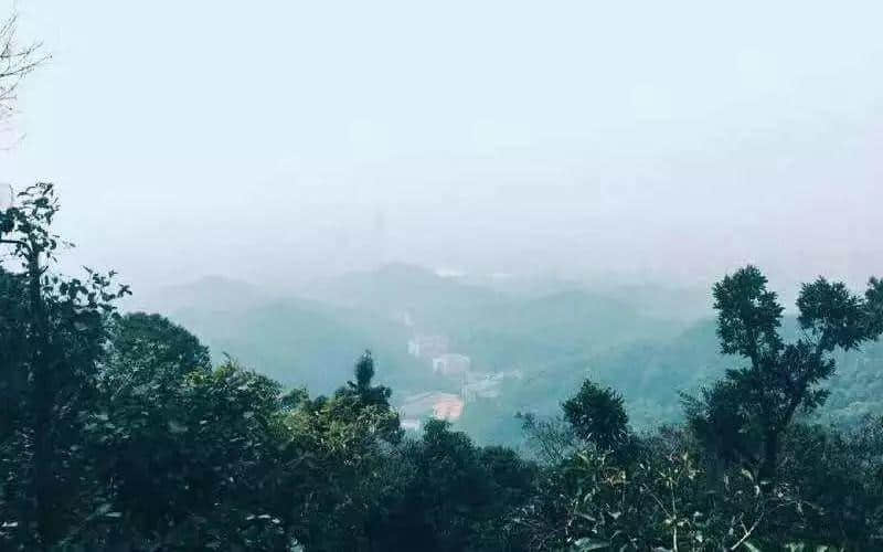 廣州搵笨景點指南，那些年你交過幾多智商稅？