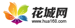 第一批上網(wǎng)的廣州人，你們的集體回憶已經(jīng)404