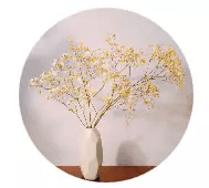 茶樓，廣州人的鄉(xiāng)愁